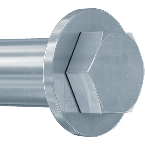 Fischer Bolt Anchor FH2 12/10 S (50 pieces) 44884 1 box