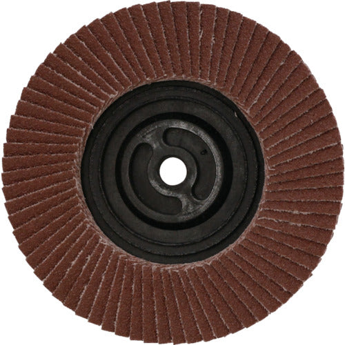 MURAKO サイクロンアランダム 外径100ΦM10穴 CY100M10A-80 10 枚