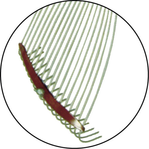 금상 홈 레이크 나무 무늬 073819 1 개