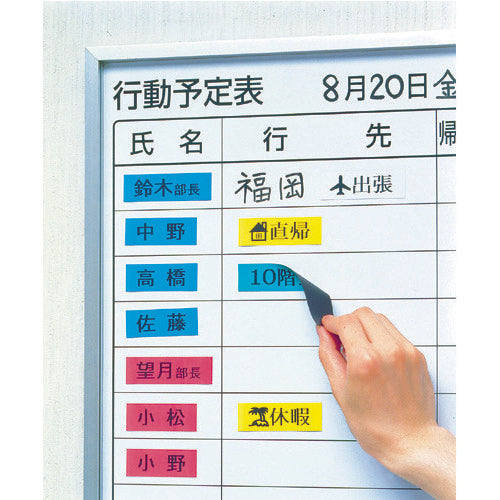 KING JIM 【순정】 “테프라” PRO 테이프 36 mm마그넷 테이프/녹색 라벨/흑문자 길이 1.5 m SJ36G 1개