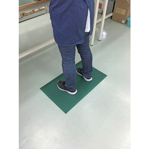 CAR-BOY Leg and Back Mat, No Holes, Large Size, Green, AM03GR, 1 Piece