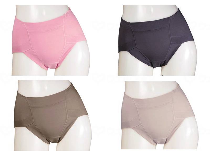 Tsujiichi absorbent deodorant shorts, 4-pack, fleece-lined, 3L