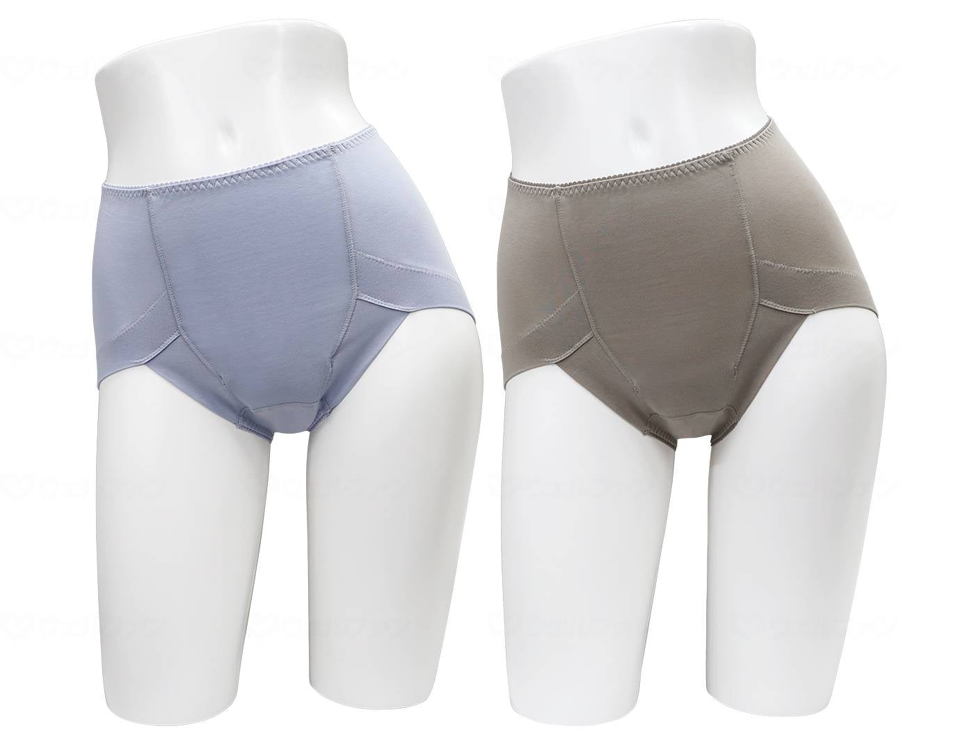 辻一レディース吸水消臭ショーツ 綿混タイプ 2枚組 ブルー LL