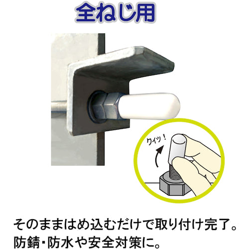 DAIDОHANT エンドねじキャップ 全ねじ用 白M6 4個入 10187047 1 PK