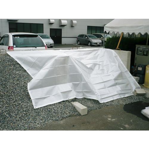 Hagiwara Tarpee Cloth #3000 (Color Sheet) Natural 1.8m wide x 100m TPN18NATU 1 roll