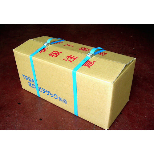 TESAC 래싱 벨트(벨트 하체기) 캠버클식 엔드리스 타입 C01N020-000A 1대