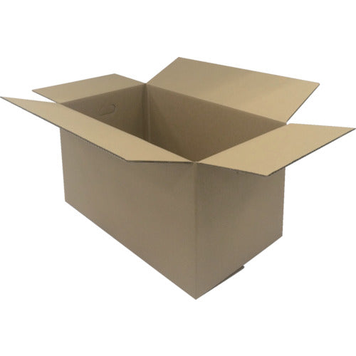 IRIS 553541 段ボールBOX DB−L1 DB-L1 10 枚