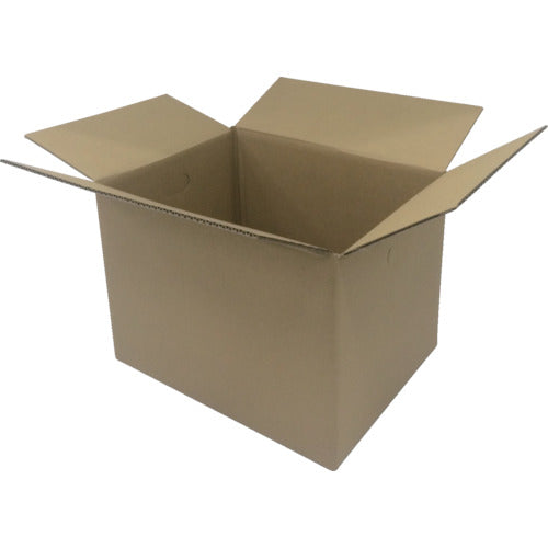 IRIS 553534 段ボールBOX DB−M4 DB-M4 10 枚