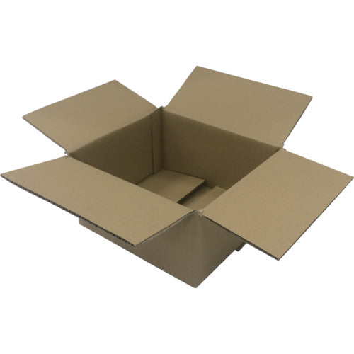 IRIS 553522 段ボールBOX DB−S2 DB-S2 10 枚