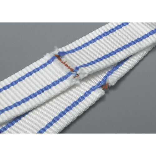TESAC 耐化学薬品用スリング(JIS2等級・両端アイ形)25mm幅×2m PP2E25X2 1 本