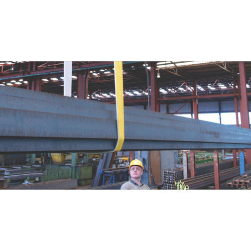 SPANSET SECUTEX SX-2T 4M PB-2000-SX-4000MM 1 piece