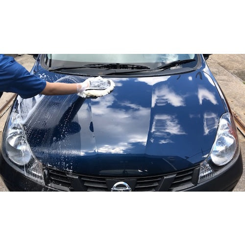 Linda Water Repellent Shampoo ECO100 4L BE24 1 pc