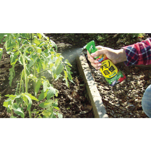 Fumakilla Gardening Supplies Kadan Amino Power for Vegetables 200ml 436877 1 bottle