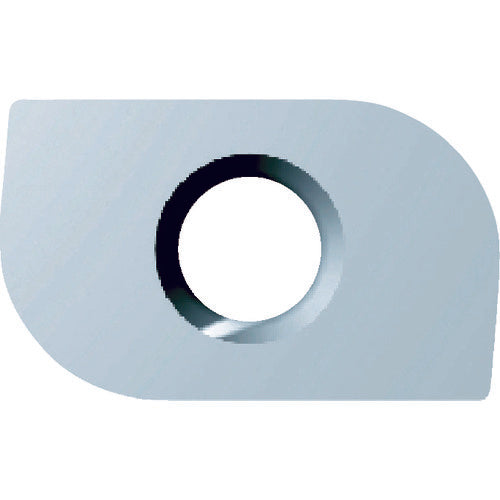 Fujigen Milling Tool Corner Special Tip Carbide K Type 0.5R NK1010 A52GNR-0.5R 12 Pieces