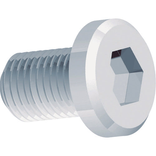 Fujigen Chamfer Cutter Optional Parts Hanchanman Plastic Guide Plate Screw H-1 1 Piece