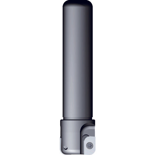 Fujigen Milling Tool Corner Shank φ25 Machining Diameter φ30 2.5R to 5R SK25-30ALR 1 Unit