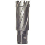 Ikura Light Borer Replacement Blade (Carbide Blade) (51088) CRSQ210 1 piece