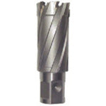 Ikura Light Borer Replacement Blade (Carbide Blade) (51092) CRSQ230 1 piece