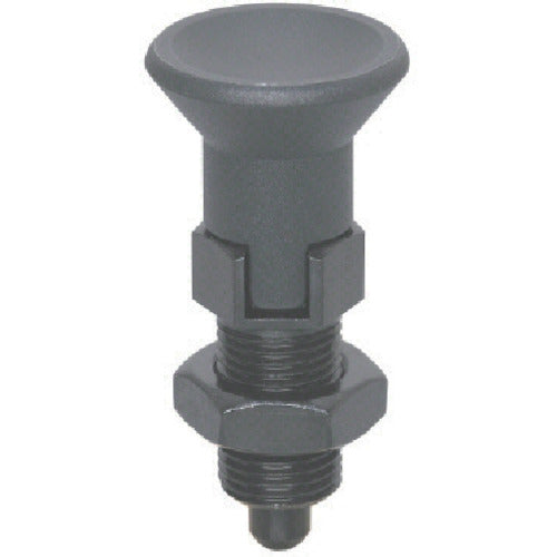 kipp インデックスプランジャー NDX20LW 1 個