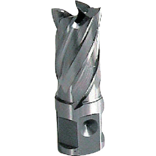 Omi 25SQ High Speed Cutter 12.0mm HCSQ120 1 pc