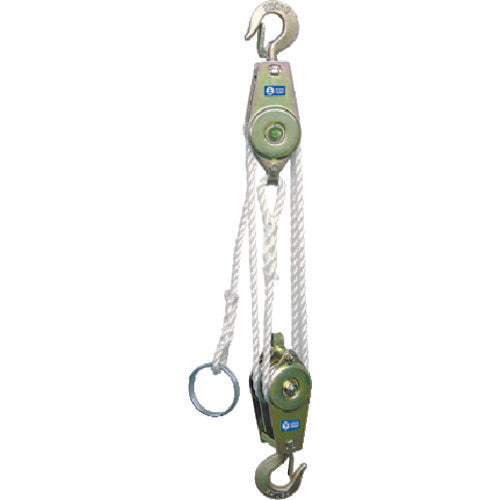 HHH Rope Hoist 250kg Lifting Height 3m RH250 1 pc
