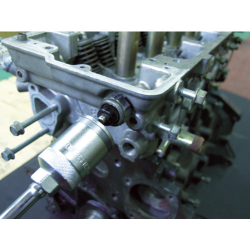 TONE Sensor Socket (Hexagonal) 19mm 3SEN-19 1 piece