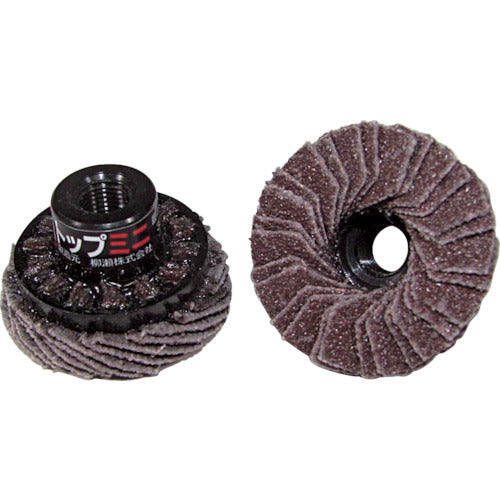 Yanase TOP Mini Disc 30xM7xP0.75 #100 TOP30A6 5 pieces