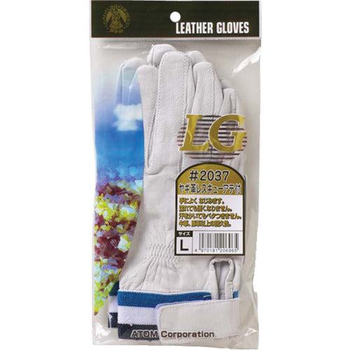 아톰 염소 가죽 구조 아테 포함 L 2037-L 1 쌍