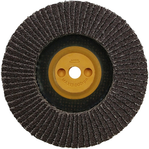 NRS ペーパー多羽根ホイル すぐP 100×M10 A40 72枚羽根 SUGP10072A40 10 枚