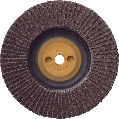 NRS ペーパー多羽根ホイル すぐP 100×M10 A80 72枚羽根 SUGP10072A80 10 枚