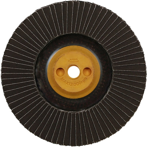 NRS ペーパー多羽根ホイル すぐP 100×M10 A400 72枚羽根 SUGP10072A400 10 枚