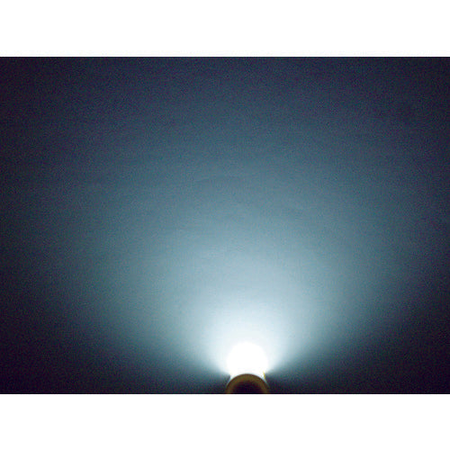 saga 4WLEDコードレスライトセット(防雨・耐薬外筒仕様) LB-LED40LCW 1 台