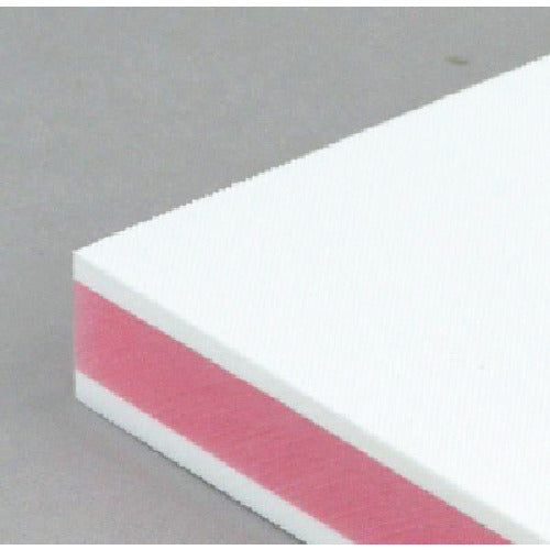 산요 칼라 항균 업무용 커팅 보드 CKP-20M CKP-20M 1장