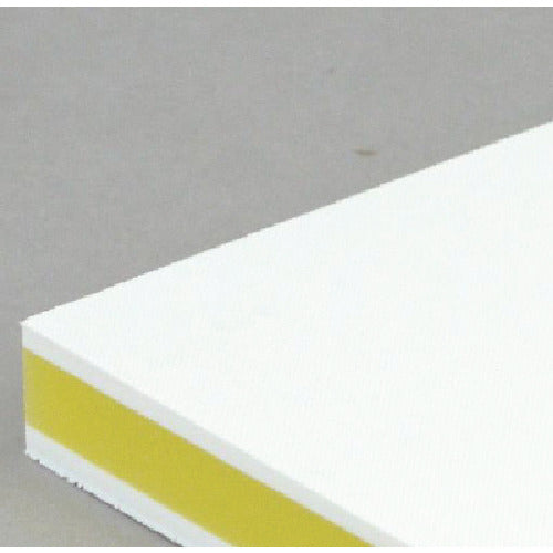 Sanyo Color Antibacterial Commercial Cutting Board CKY-20S CKY-20S 1 piece