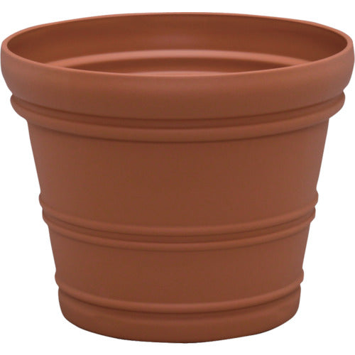 IRIS 199960 발렌시아 포트 브라운 15호 133086 1개