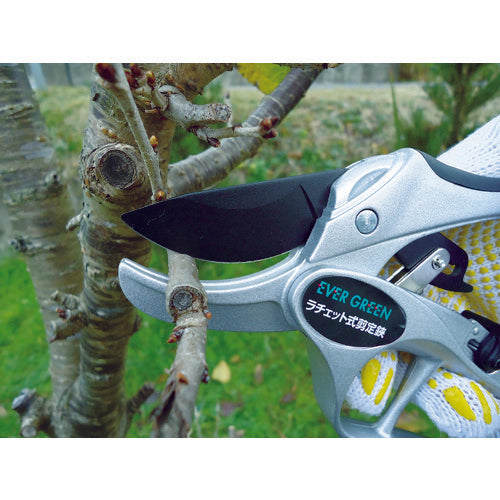 Daishin EG Ratchet Pruning Shears DX 502372 1 pc