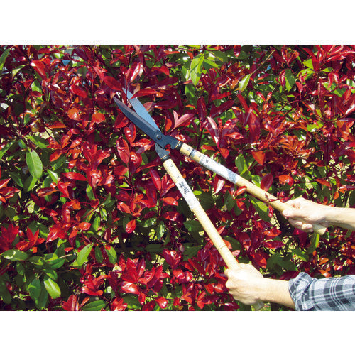 鋼典 刈込鋏 安来鋼付パーカー仕上 白樫柄入 A-2 1 丁