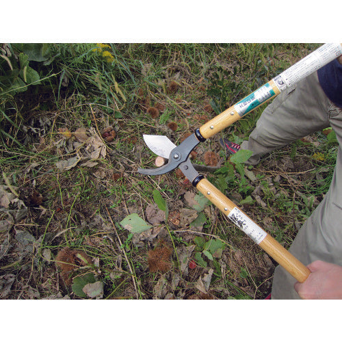 鋼典 株切鋏(太枝切鋏) 白樫柄入 A-12 1 丁