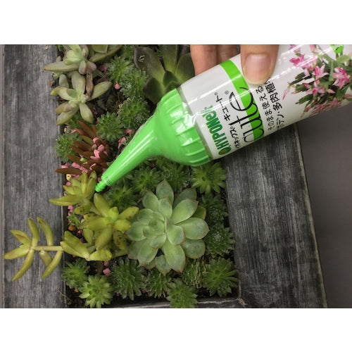 Hyponex Plant Activator for Cute Cacti and Succulents H016417 1 bottle