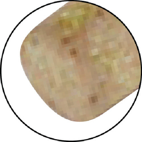 TRUSCO ステンチタン焼入鋼用超高耐久ゴム軸付砥石Φ6幅15軸3 #80 LCH806C 1 PK