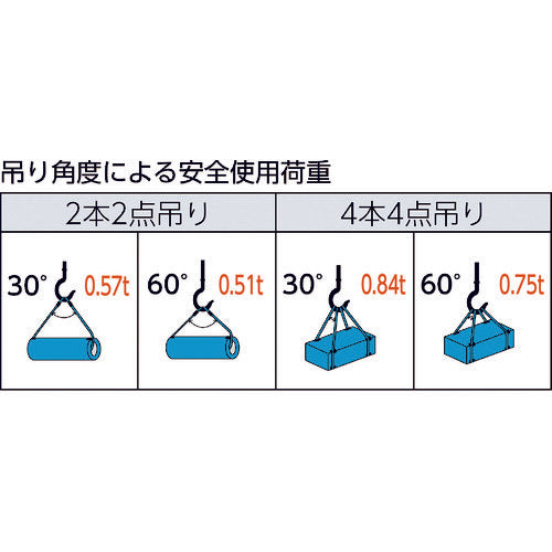 TRUSCO Wire Rope Sling Type A Aluminum Lock 6mm x 2.5m TWAL-6S2.5 1 piece