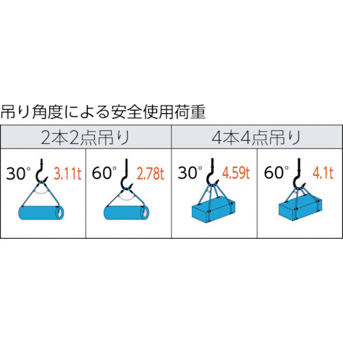 TRUSCO ワイヤーロープスリング Aタイプ アルミロック 14mmX4m TWAL-14S4 1 本
