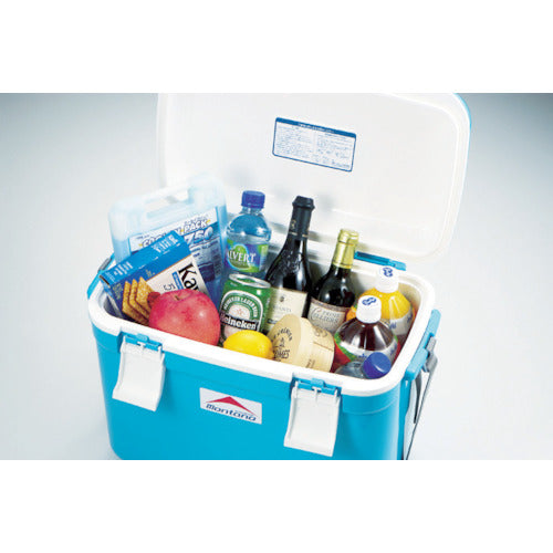 JEJアステージ I.BEAM モンタナ#25 ミズイロ MTN-25 1 個