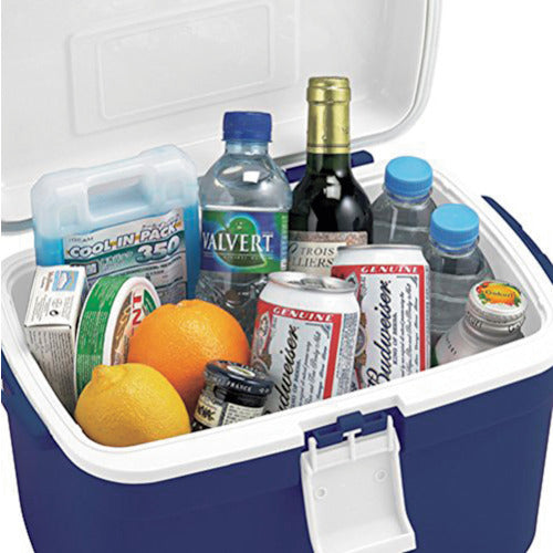 JEJアステージ フォレスクルー#13 Dブルー FRC-13 1 個