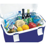 JEJアステージ フォレスクルー#35 Dブルー FRC-35 1 個