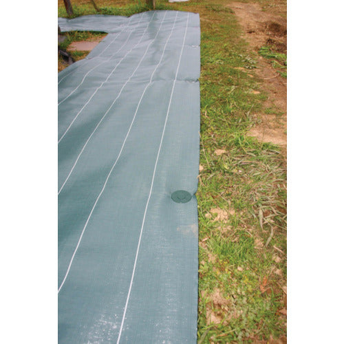 Dio Hammer Pin Set (50 pcs) 252096 1 bag