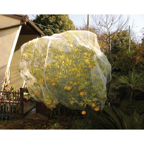 Dio 目立ちにくい透明鳥よけネット 白 幅2m×長さ8m 252249 1 枚