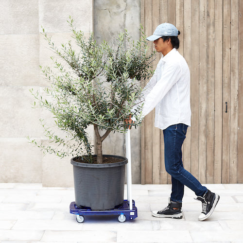 TRUSCO 【매진 폐번】 수지 대차 아크로 캐리 PC제 소음 바퀴 600X390 바이올렛 투명 AC-1PC-VI 1대