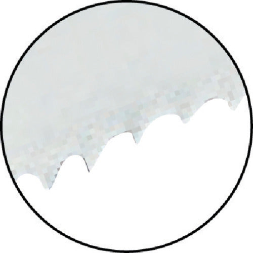 TRUSCO Demolition Bimetal Saber Saw Blade (Wide Type) Total Length 228mm 5 Pieces TBS-228-14-HST-5P 1 PK