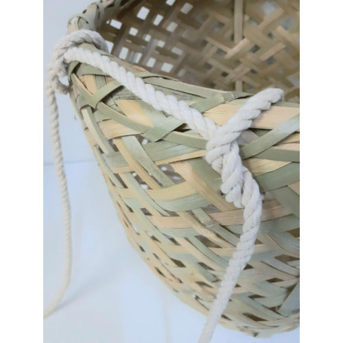 伝蔵 メカイ J1000(小) F041 1 個